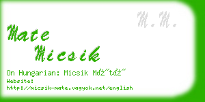 mate micsik business card